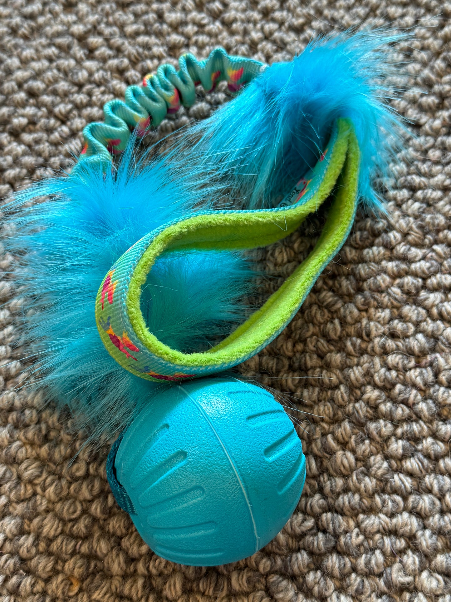 EVA Foam Ball Regular Handle Tugs