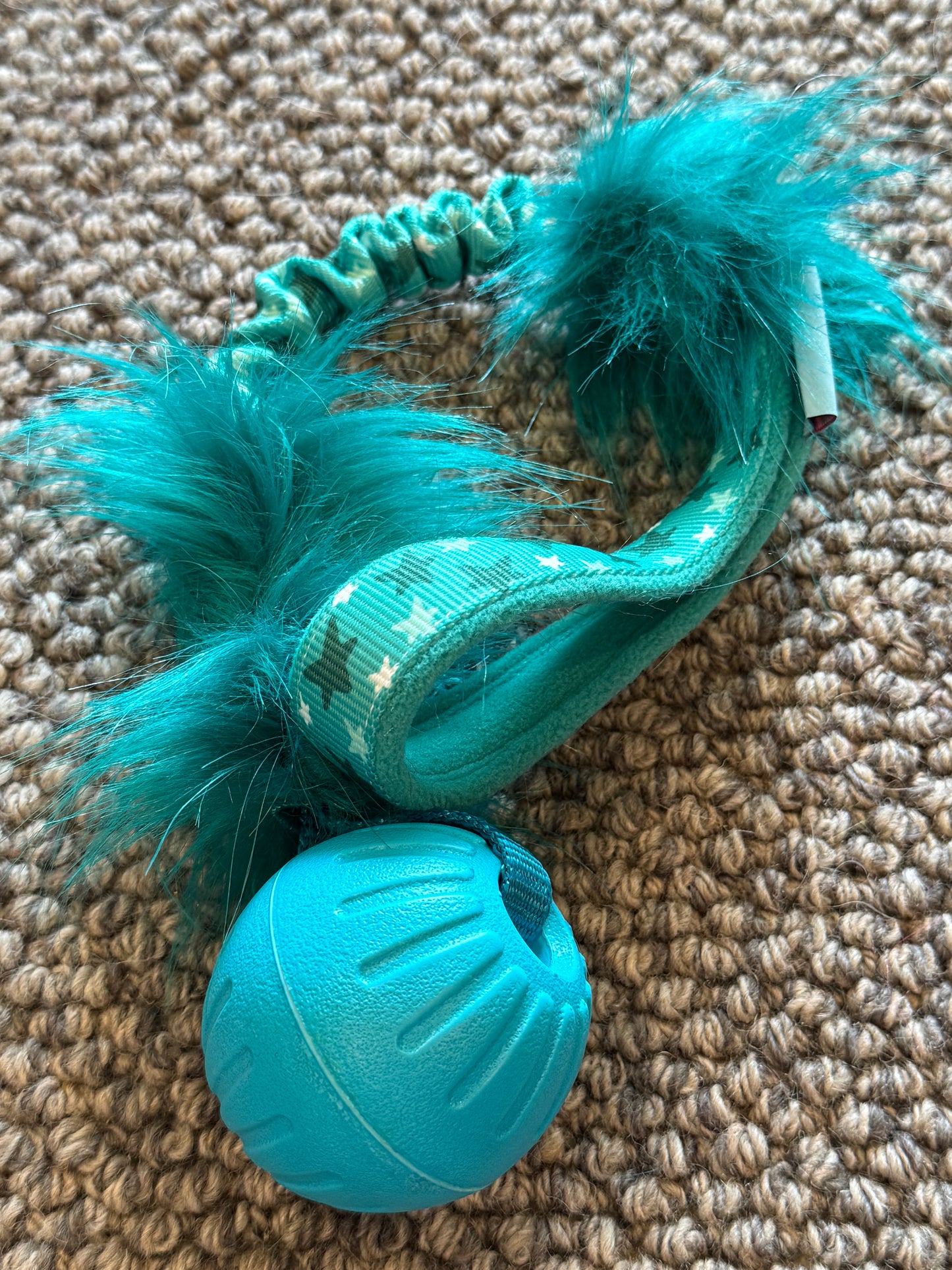 EVA Foam Ball Regular Handle Tugs