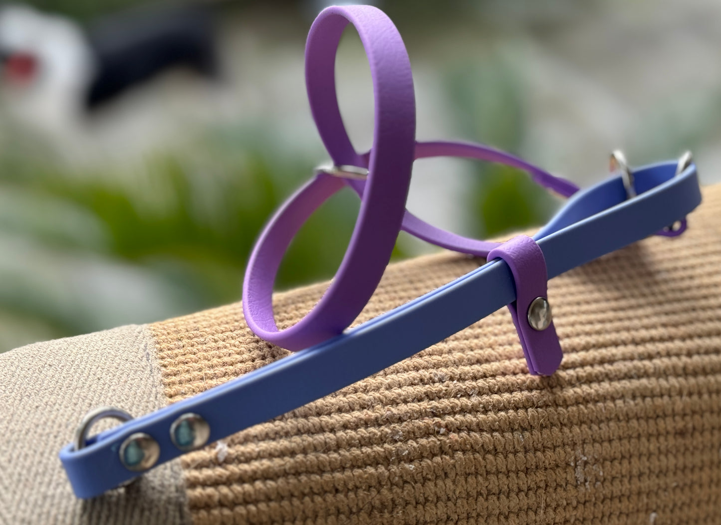 BioThane Head Halters - Figure 8 look