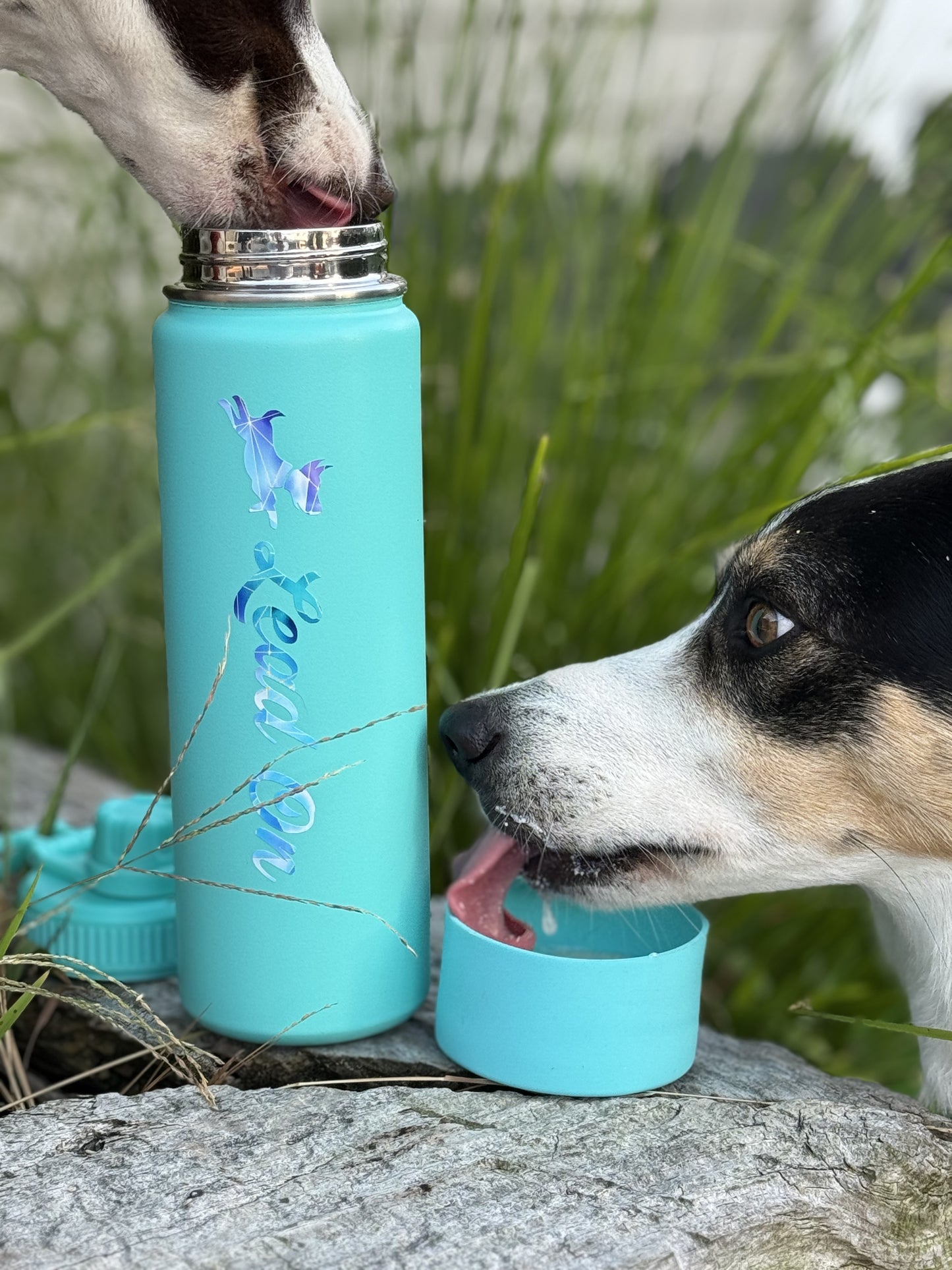 Aqua coloured insulated water bottle