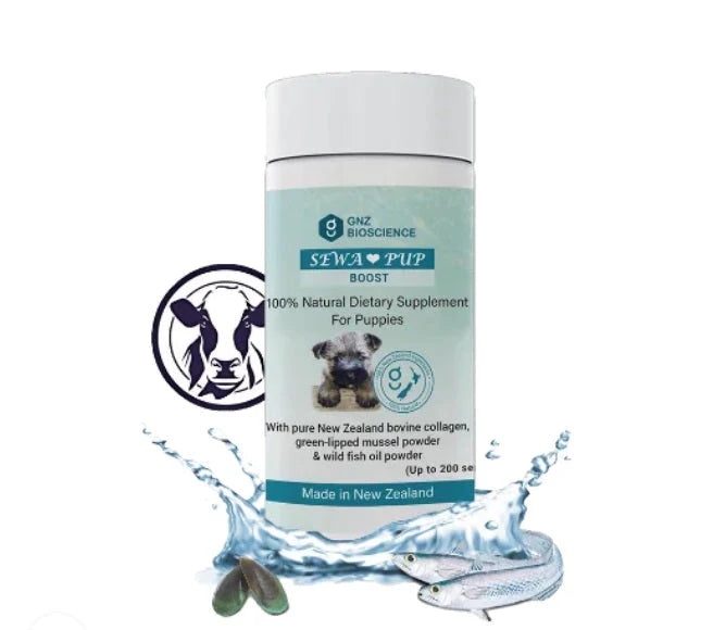 SEWA Pup Boost - Half Price