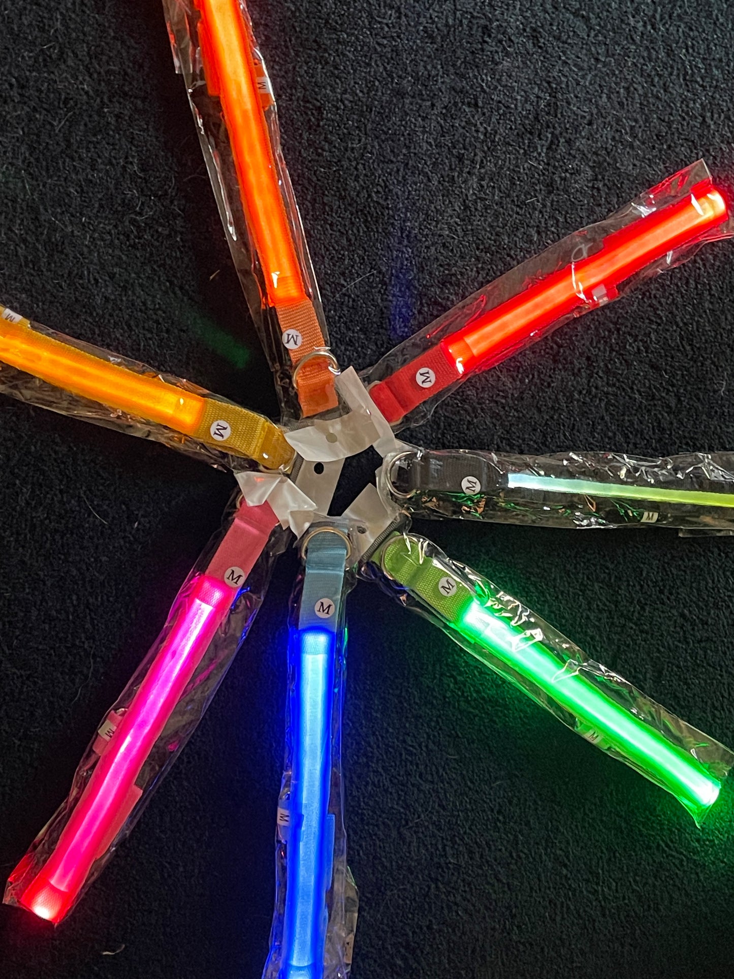 USB Rechargeable LED Light up Collars