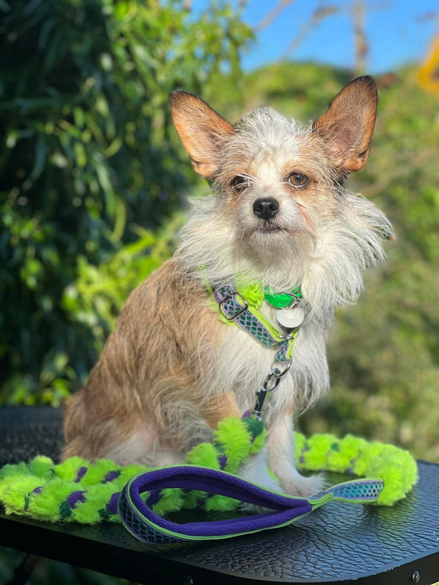 Custom Orders - Fluffy Braided Adjustable Limited Slip Lead Sets -