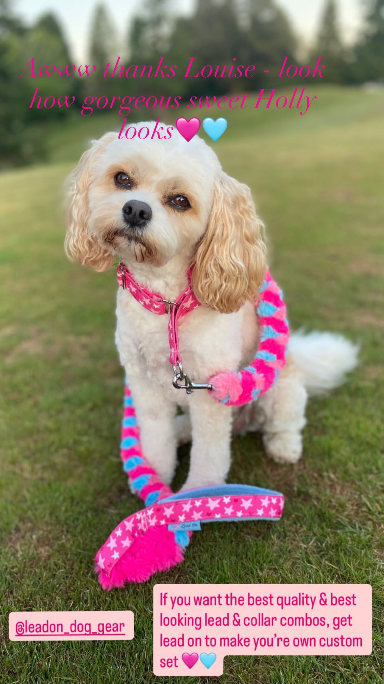 Custom Orders - Fluffy Braided Adjustable Limited Slip Lead Sets -