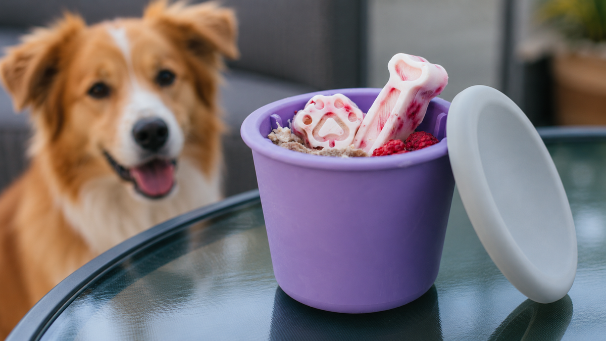 BUY One GET 50% off one - – FIBSY SOFT & FIBOOWL SPIKY & SNACK FIBEEK + LID