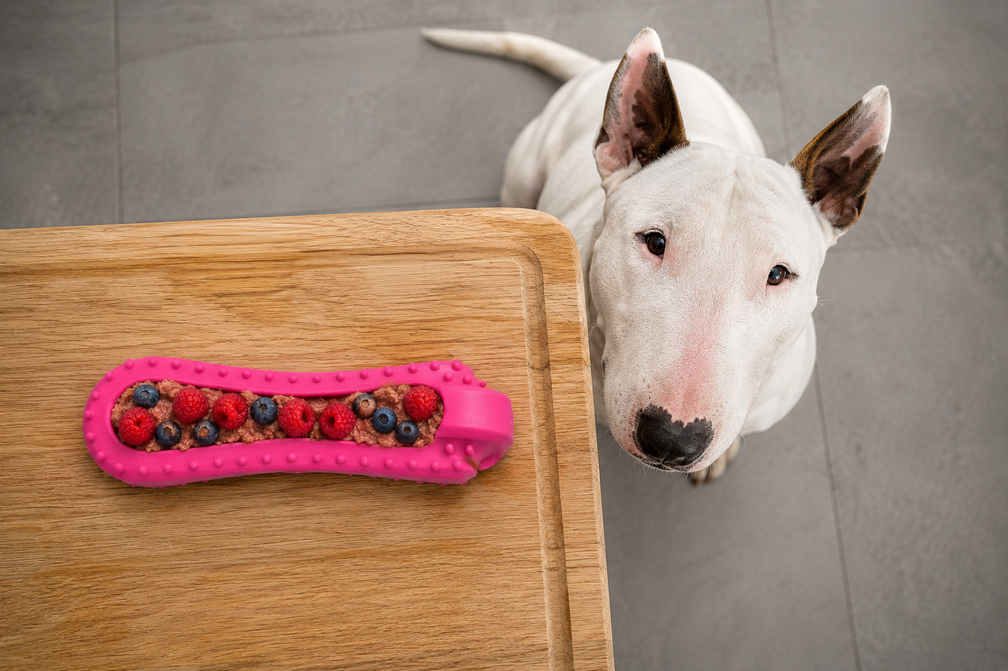 BUY One GET 50% off one  -FIBHOLDER, ICEBOO, Snack FIBOONE,