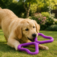 BUY One GET 50% off one  -FIB the Tug, FIB SOFT, FIJOO & FIBOONE Dental