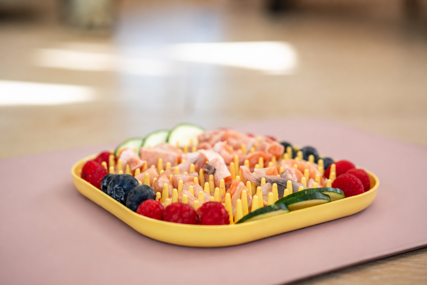 BUY One GET 50% off one  -FIBHOLDER, ICEBOO, Snack FIBOONE,