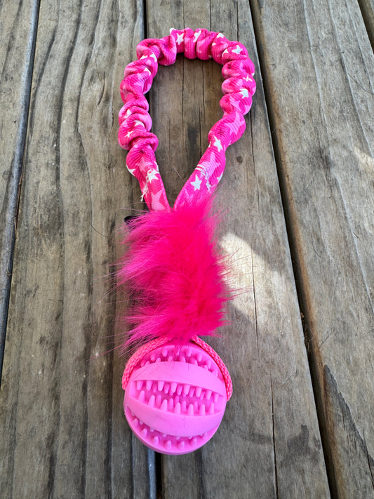 Pocket Bungee Treat Balls