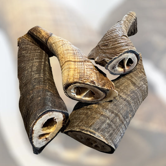 I Like Big Butts - Goat Horn Butts