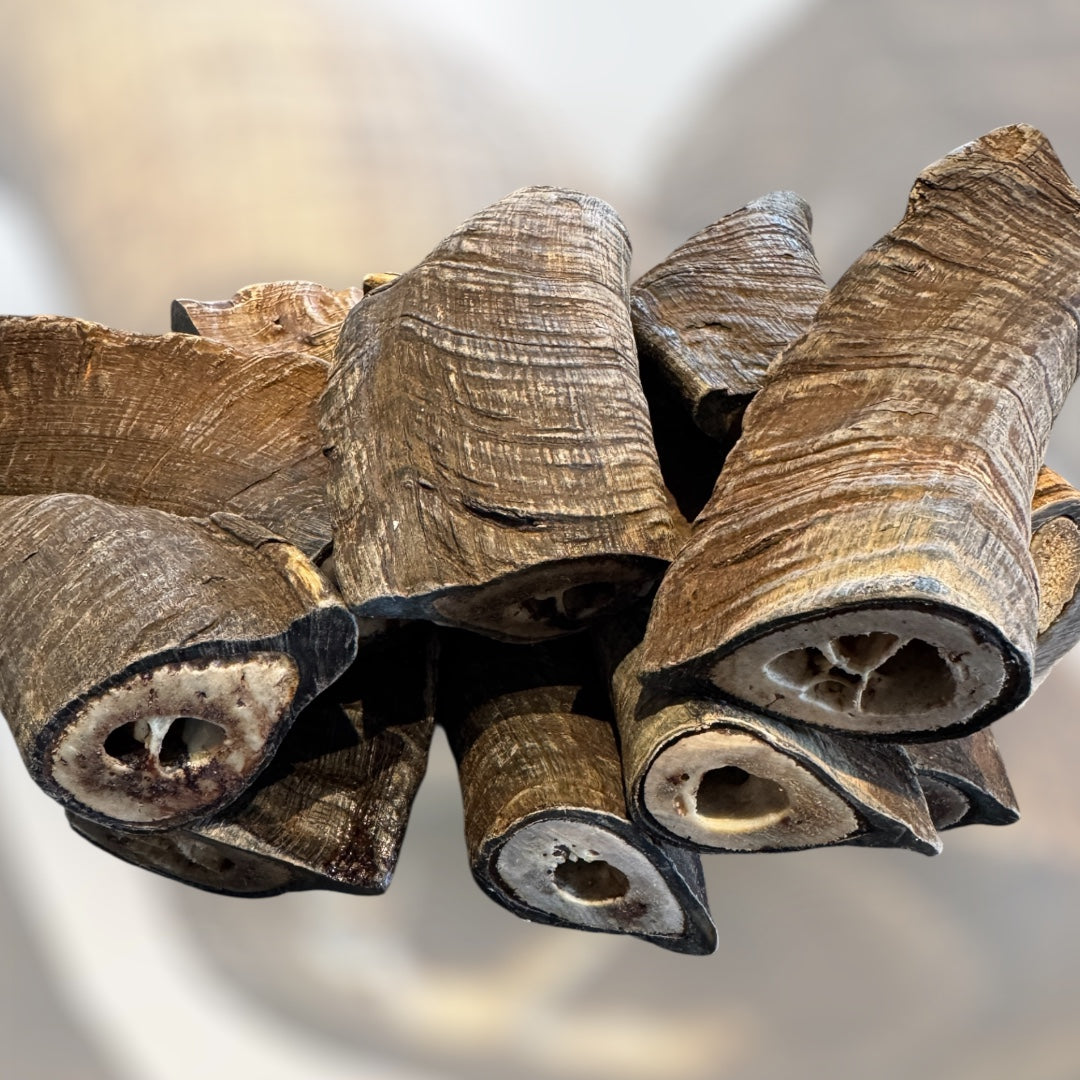 I Like Big Butts - Goat Horn Butts