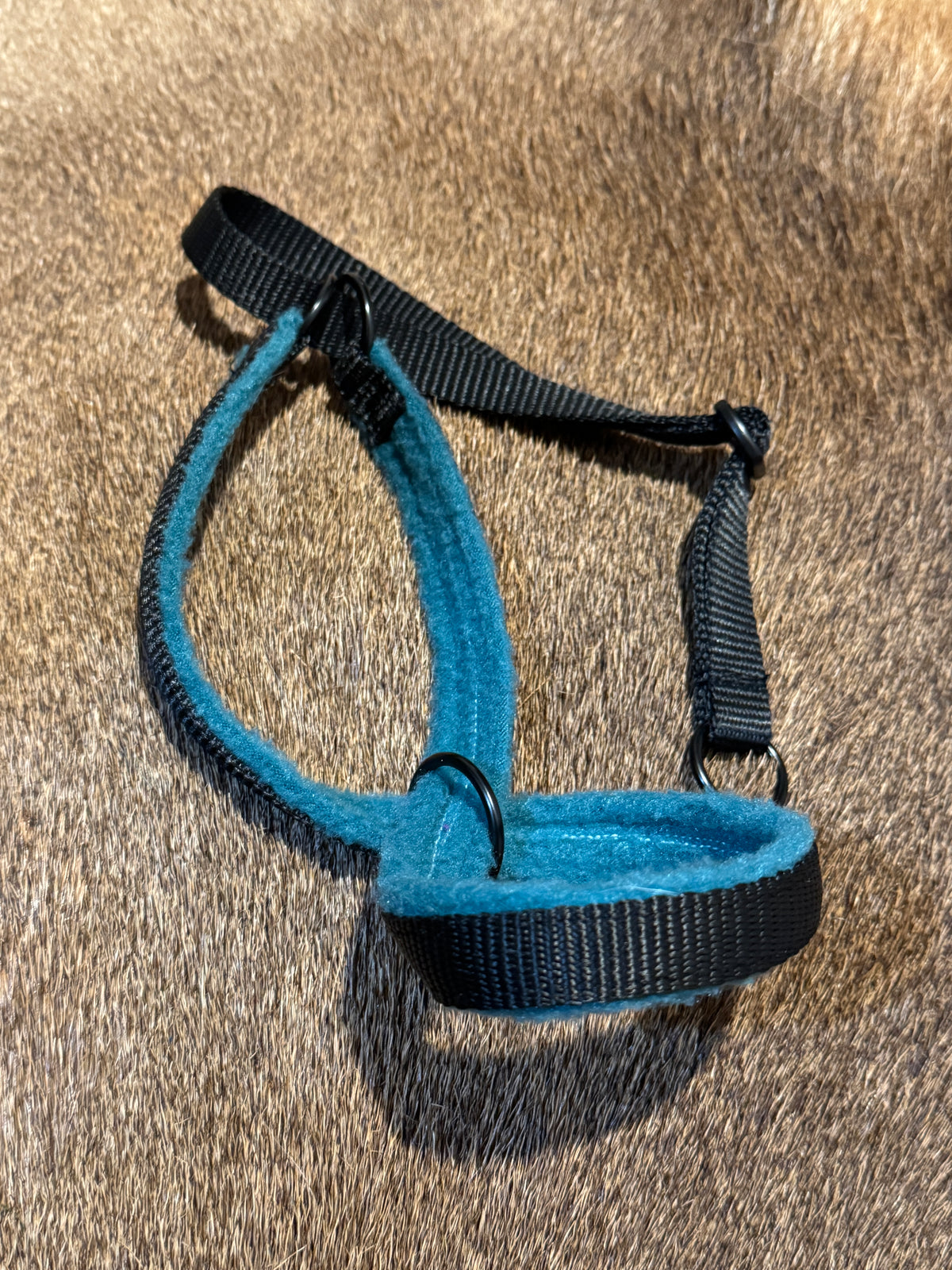 Head Halters - Medium - Figure 8