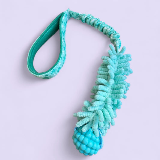 Moppy Handle Bungee Ball Tug