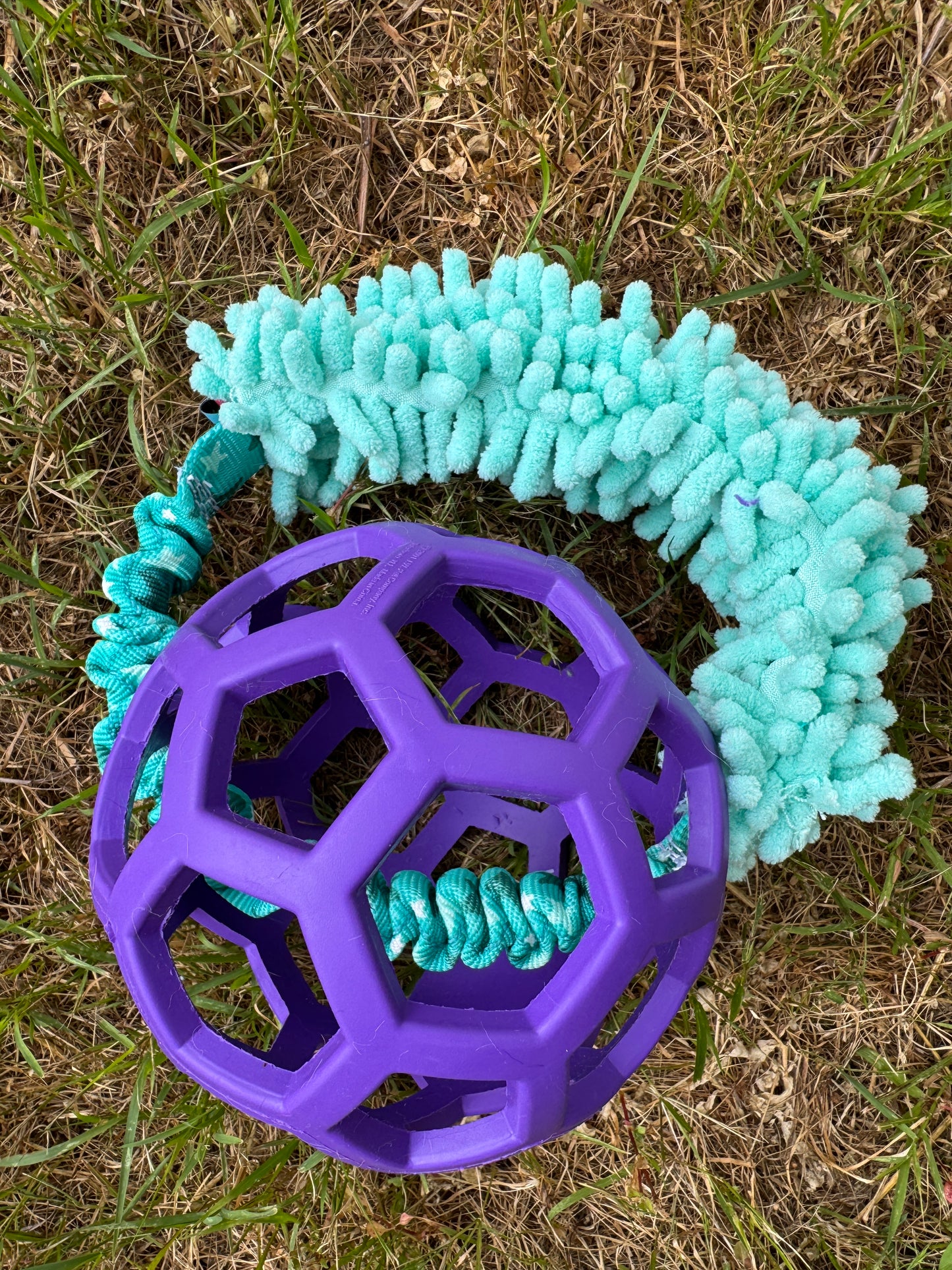 JW Roller Balls with Bungee Ring & Moppy
