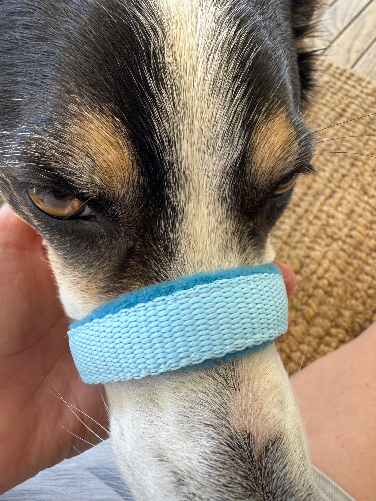 Head Halters - Medium - Figure 8