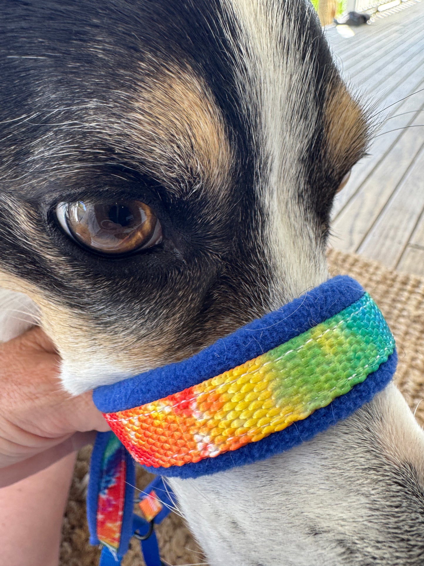 Head Halters - Medium - Figure 8