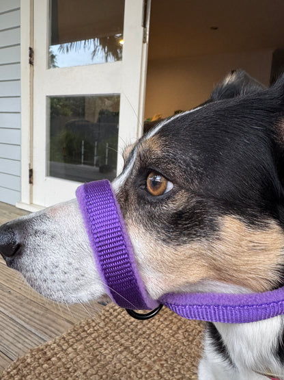 Head Halters - Medium - Figure 8