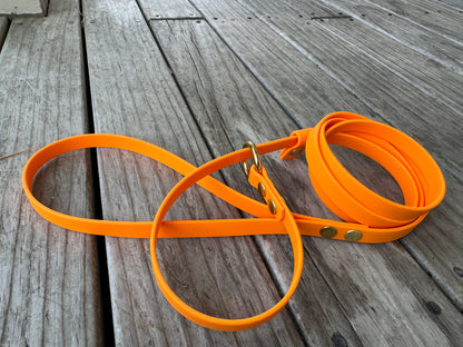 BioThane Slip Lead
