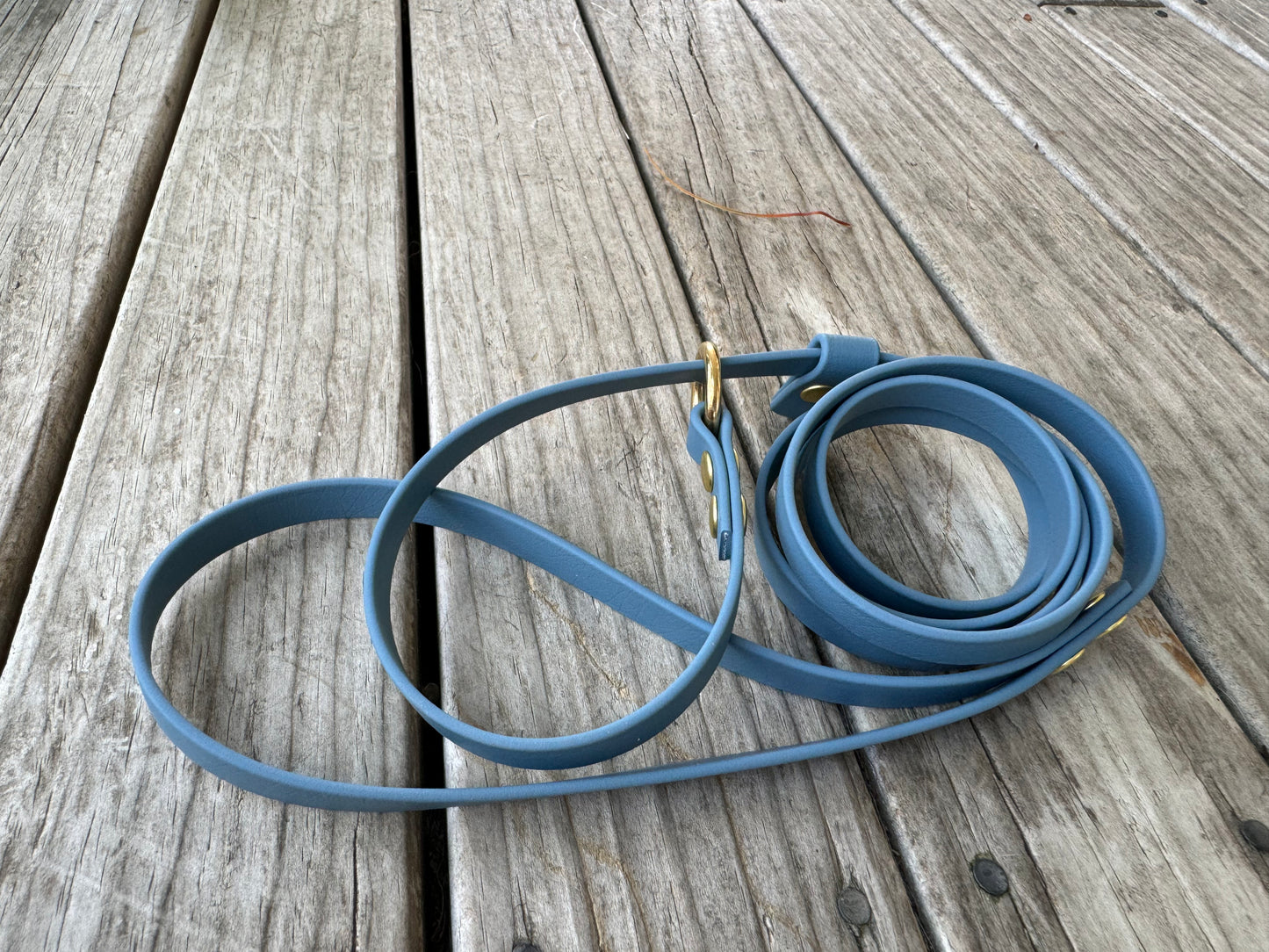 BioThane Slip Lead