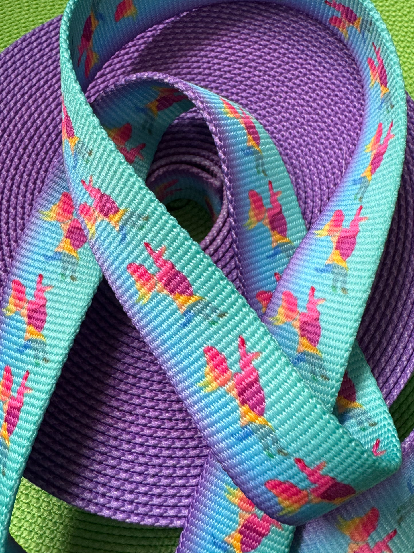 Lead On - Bungee Patterned Webbing Options