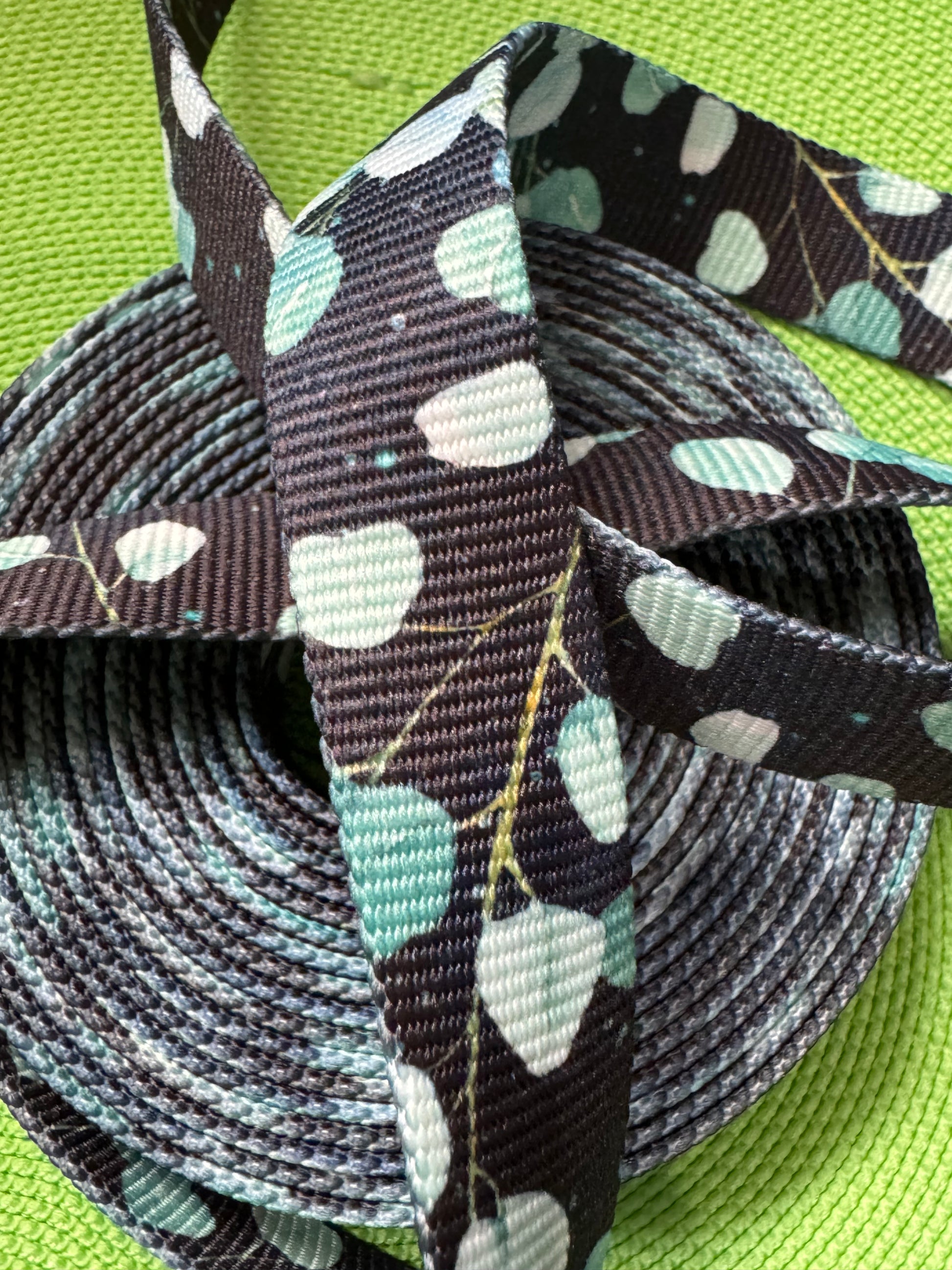 Lead On - Bungee Patterned Webbing Options