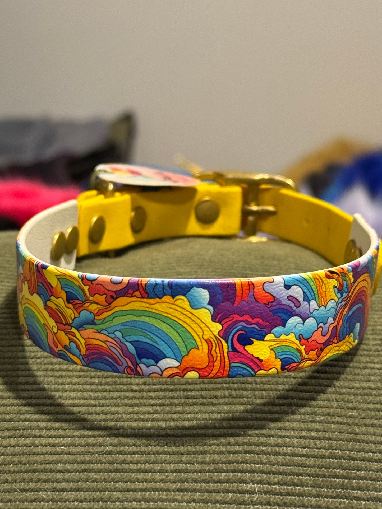 SALE Pre-Made  UV Printed BioThane Collars
