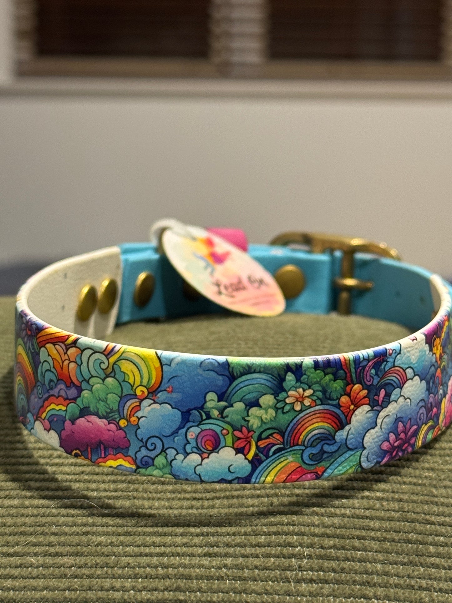 SALE Pre-Made  UV Printed BioThane Collars