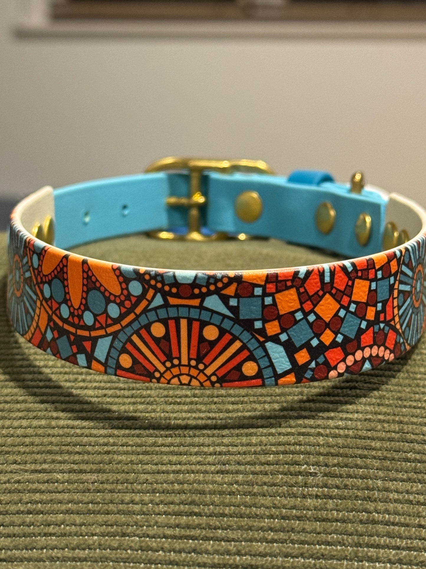 SALE Pre-Made  UV Printed BioThane Collars