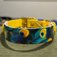 SALE Pre-Made  UV Printed BioThane Collars