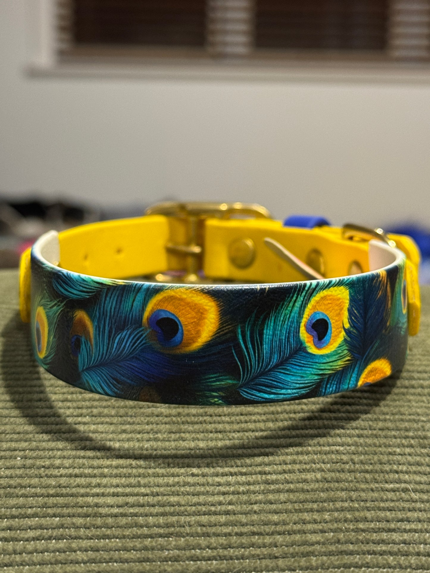 SALE Pre-Made  UV Printed BioThane Collars