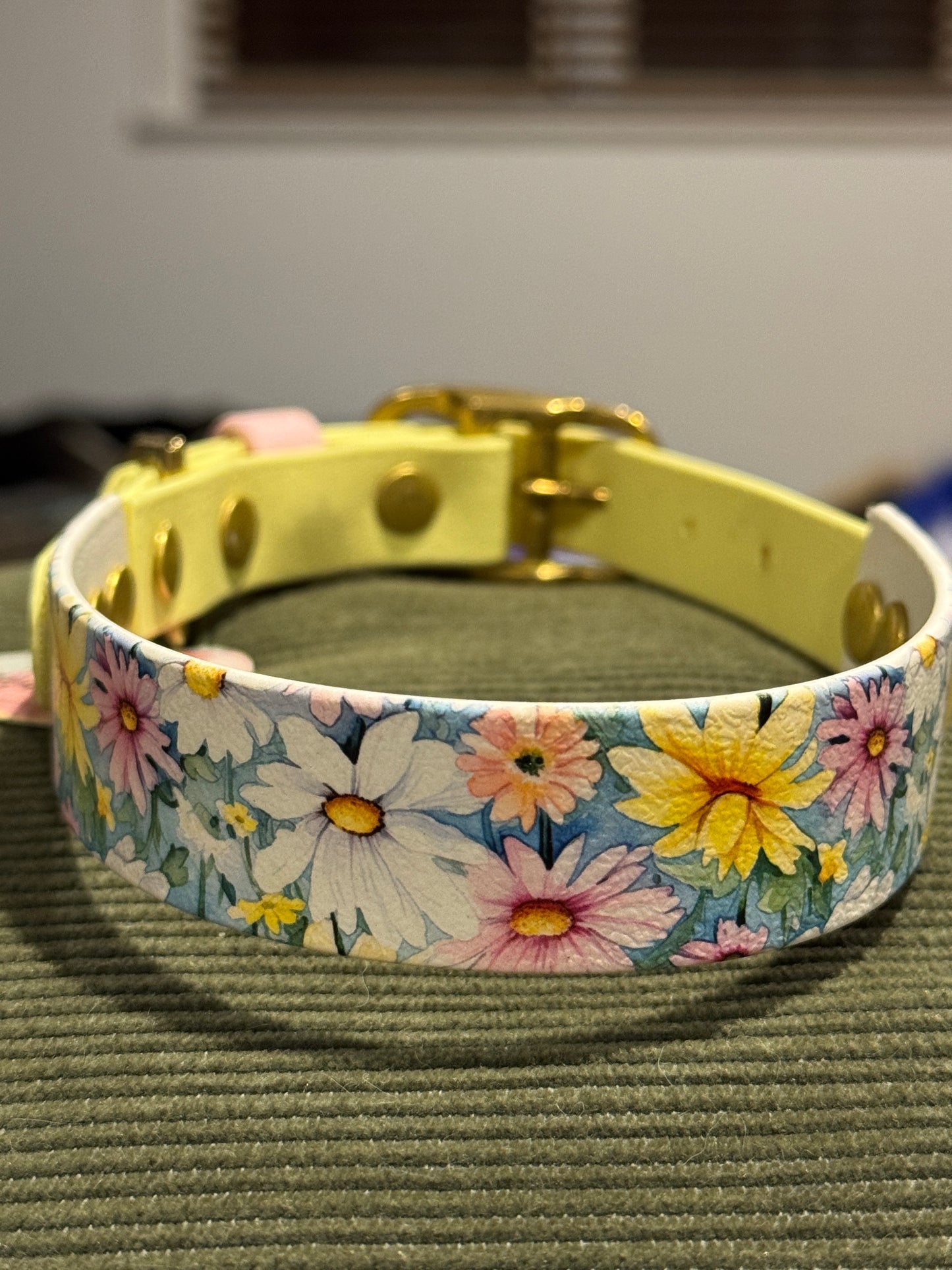 SALE Pre-Made  UV Printed BioThane Collars