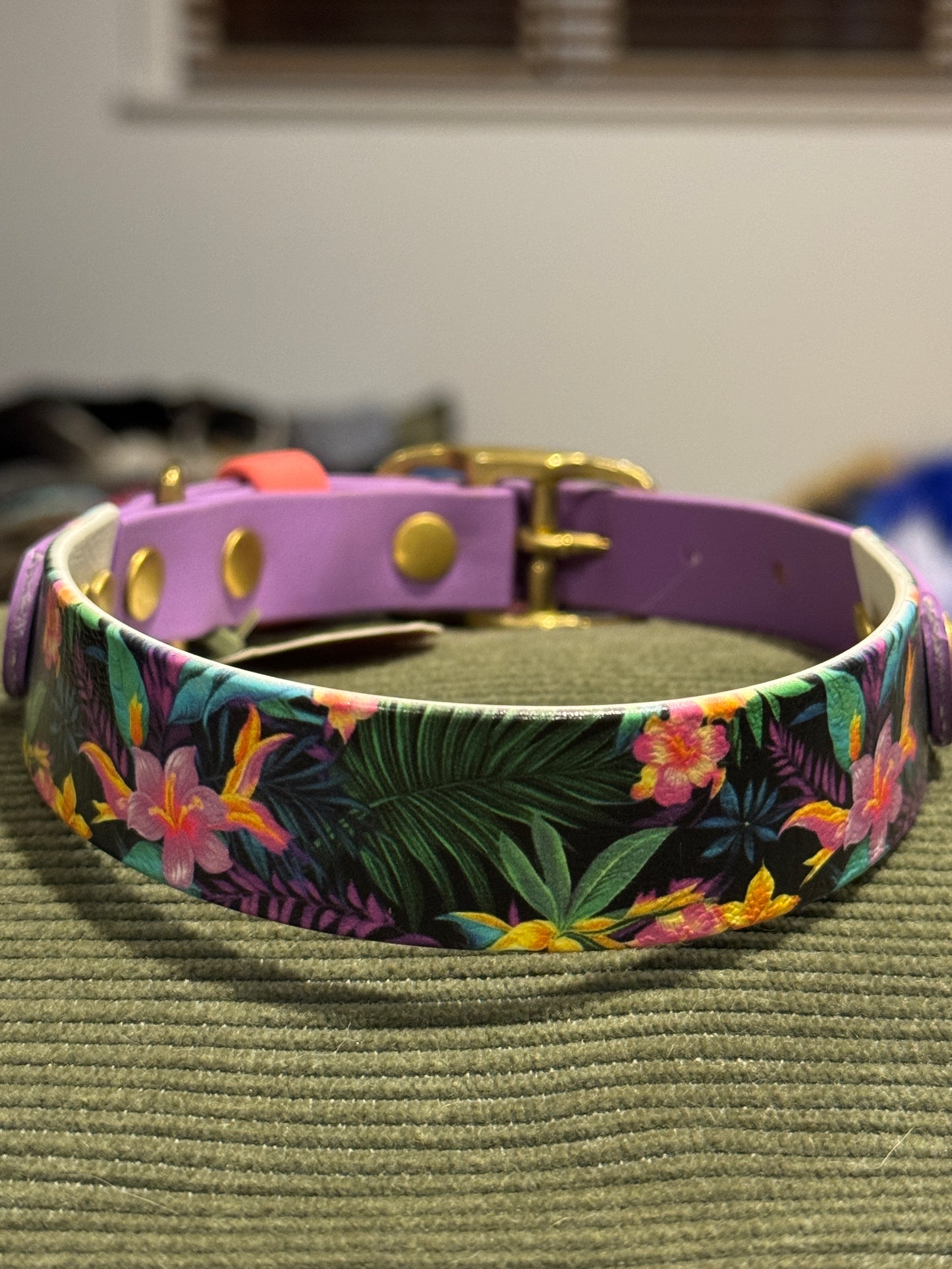 SALE Pre-Made  UV Printed BioThane Collars