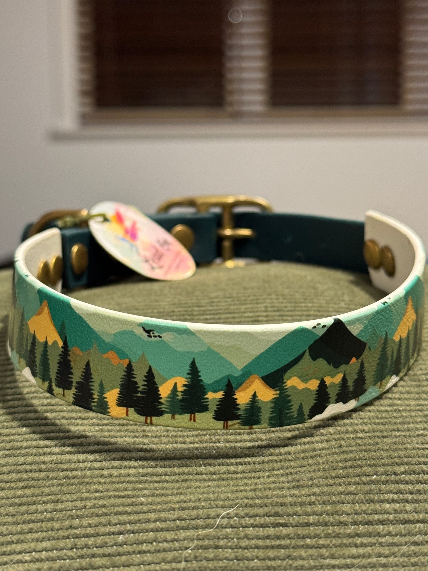 SALE Pre-Made  UV Printed BioThane Collars