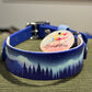 SALE Pre-Made  UV Printed BioThane Collars
