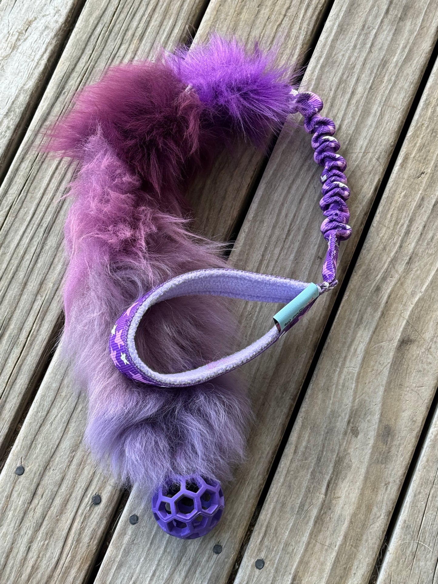 Sheepy & Hol-ee Roller CHASER