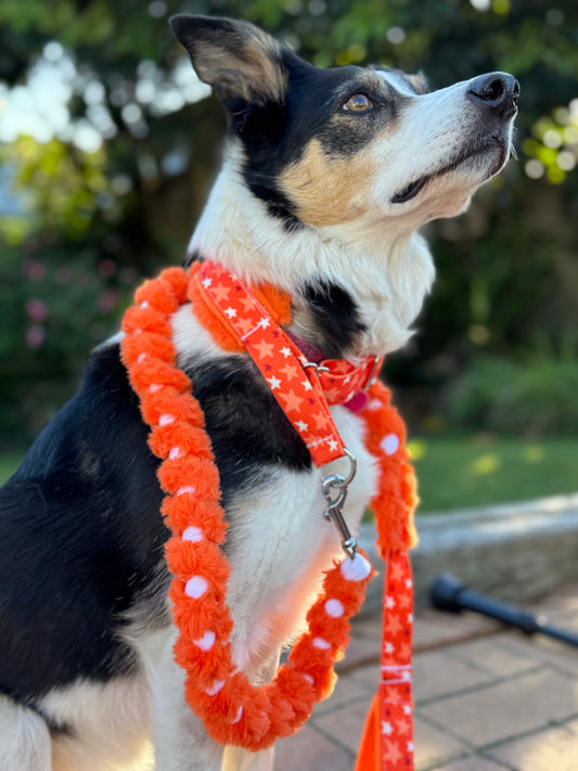 Fluffy Braided Adjustable Limited Slip Lead Sets - Pre-made