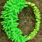 Moppy Bungee Ring