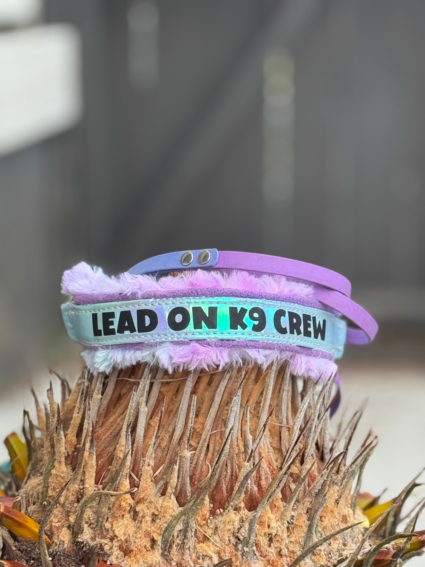 Custom Orders - Fluffy Braided Adjustable Limited Slip Lead Sets -