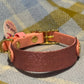 Sparkly Glitter Painted BioThane Collars