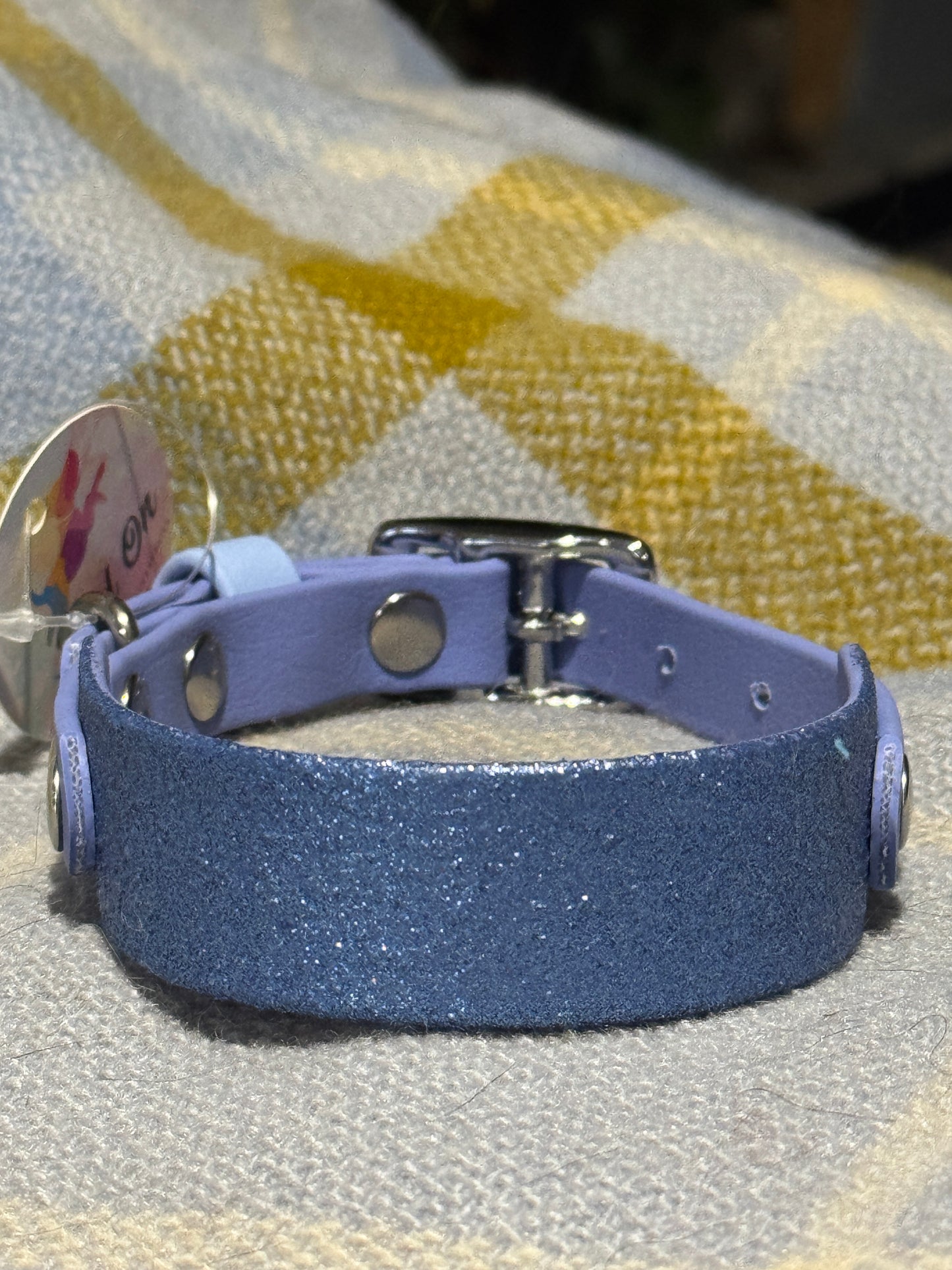 Sparkly Glitter Painted BioThane Collars