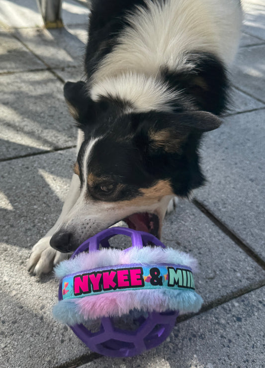 Custom Named ring for Holee Roller balls