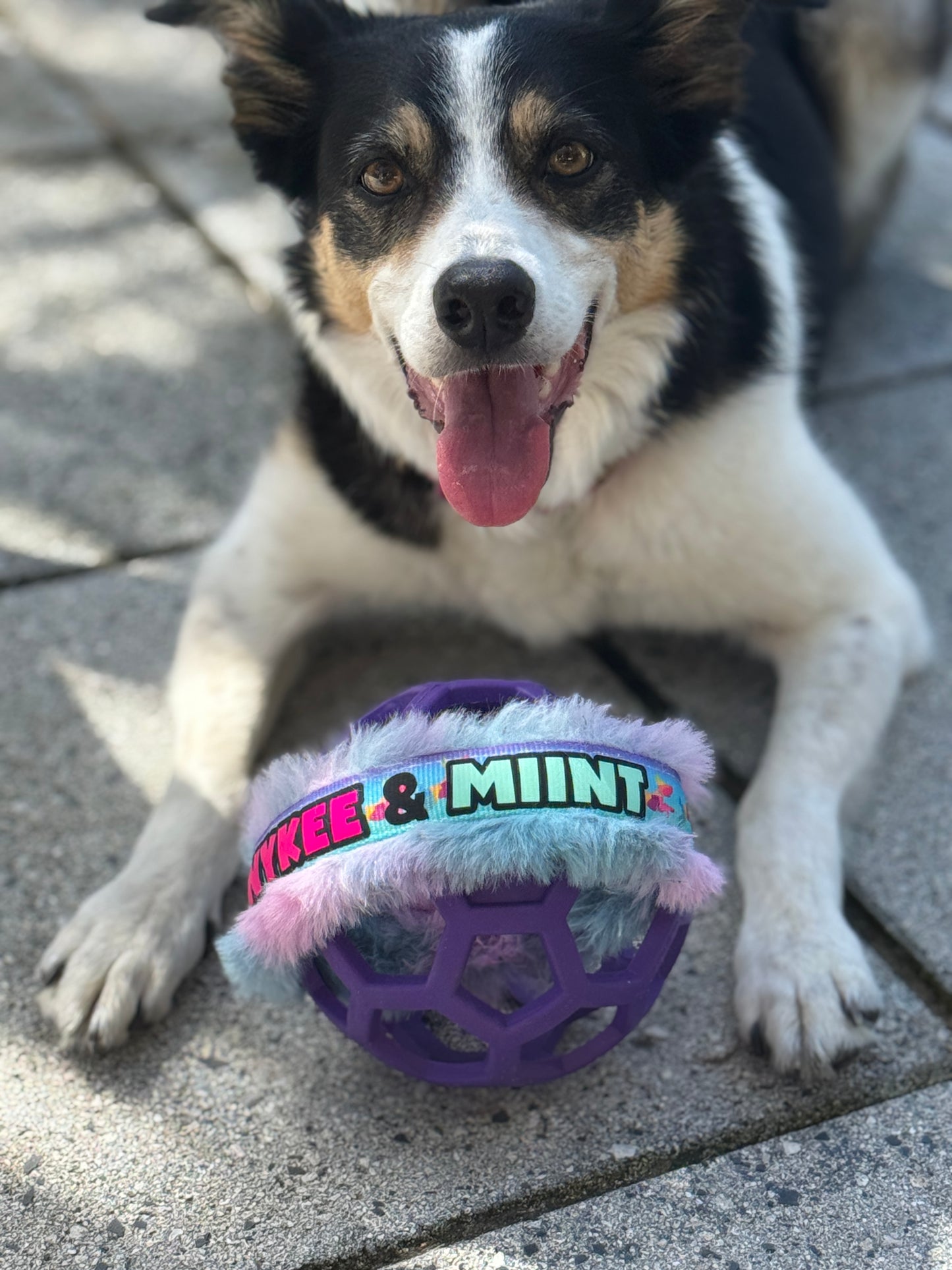 Custom Named ring for Holee Roller balls