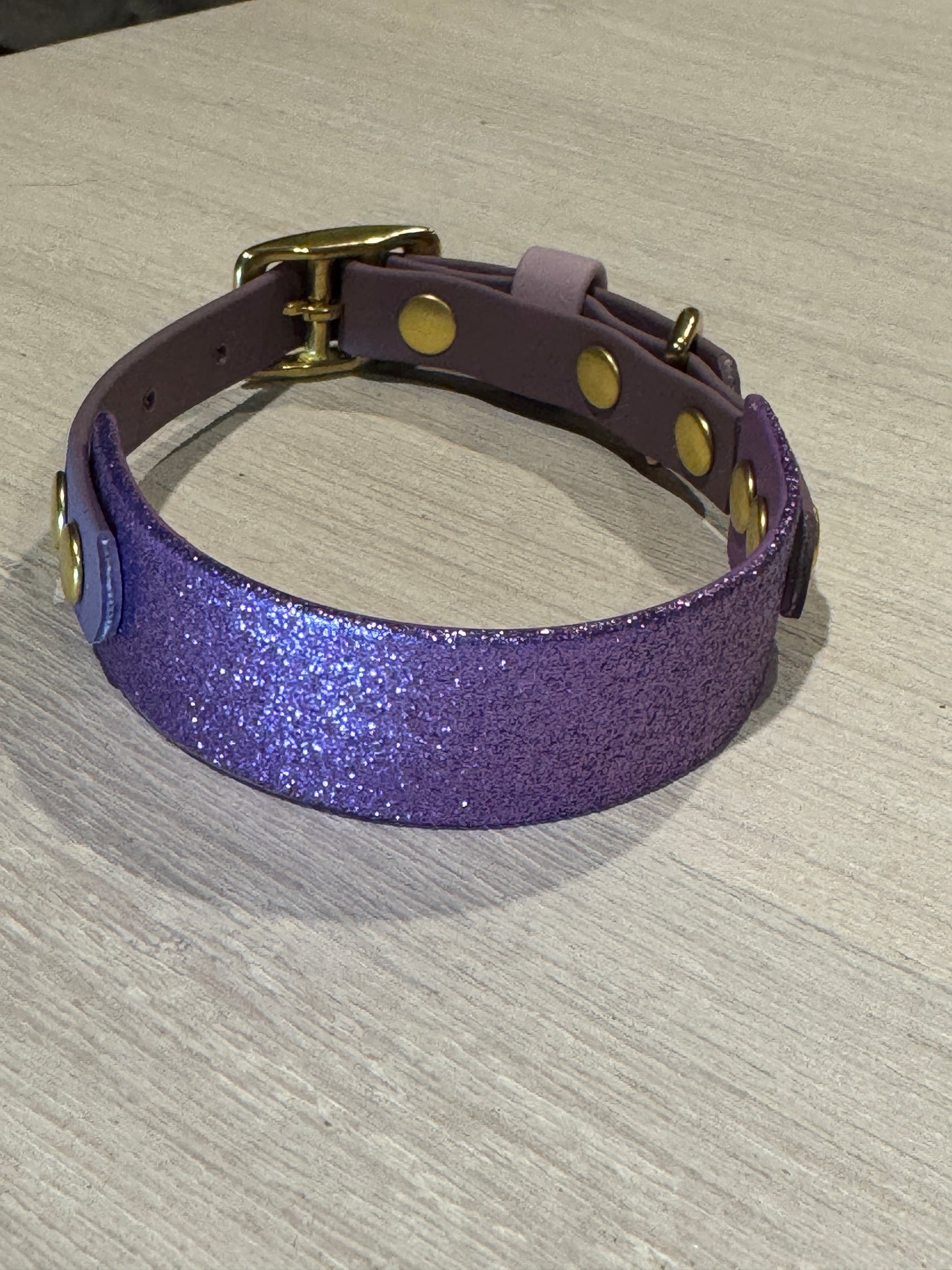 Sparkly Glitter Painted BioThane Collars