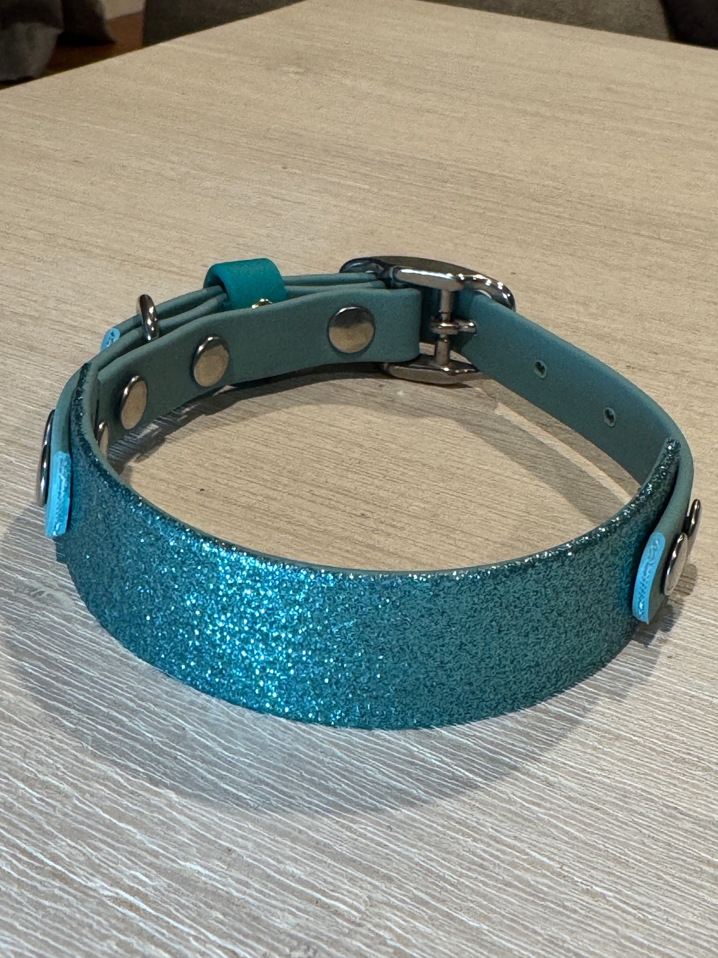 Sparkly Glitter Painted BioThane Collars