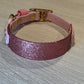 Sparkly Glitter Painted BioThane Collars