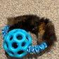 NEW Gor Ball with Bungee Ring