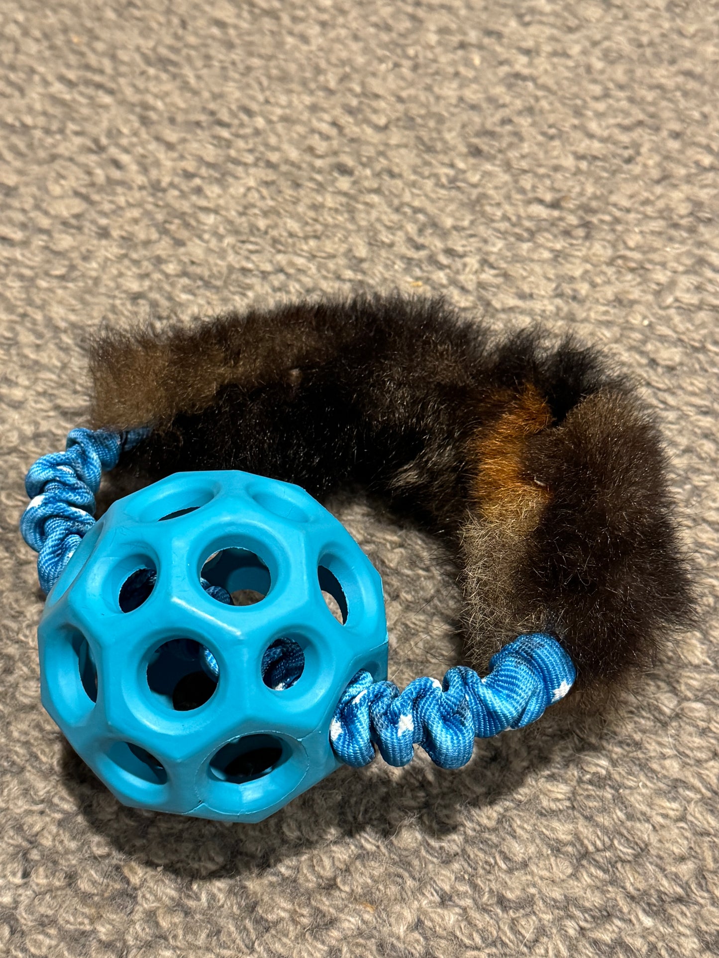 NEW Gor Ball with Bungee Ring