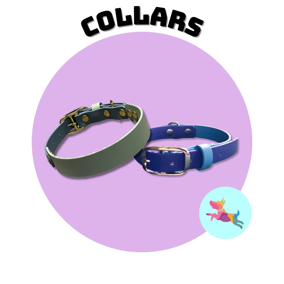 Leadon online dog shop