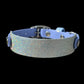 Sparkly Glitter Painted BioThane Collars