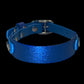 Sparkly Glitter Painted BioThane Collars